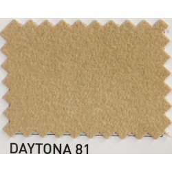 Daytona 81